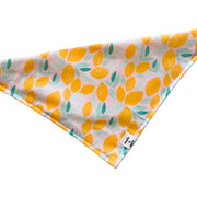 easy peasy lemon squeezy