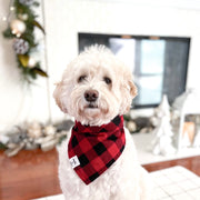 red buffalo checkered plaid