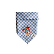 peter rabbit patch bandana