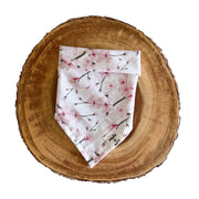 cherry blossoms