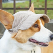 corduroy baseball hat