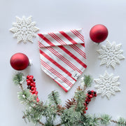 candy cane cutie