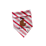 i ate santa’s cookies