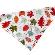 watercolor leaves